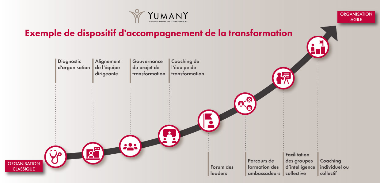 https://www.yumany.eu/wp-content/uploads/2020/06/Infographie-Transformation-Yumany.jpg