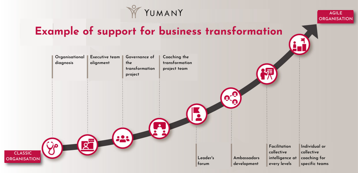 Yumany vous accompagne dans la transformation et la gestion de vos entreprises